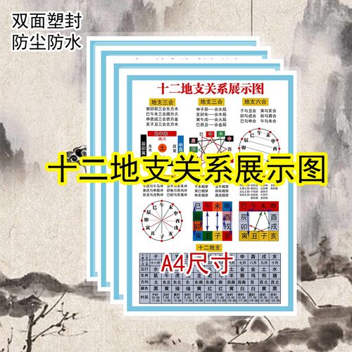周易初学者十二地支速查学习卡