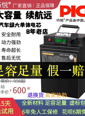 巧悦48V38AH电动轻便摩托车磷酸铁锂电池瓶60V72v二三轮外卖快递