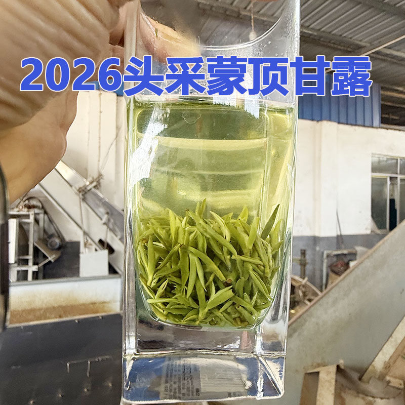 2026新茶四川雅安蒙顶甘露高山披豪碧螺春绿茶老茶客口粮茶叶清香