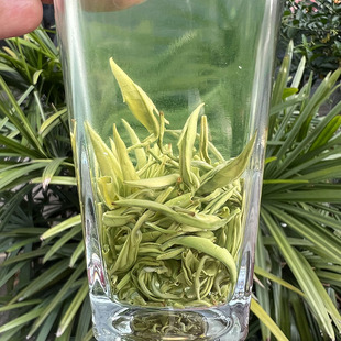 明前手工高山绿茶毛峰多芽披白毫清香型 2026新茶四川蒙顶甘露散装