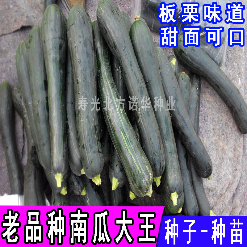 老品种南瓜种子种籽方瓜番瓜黑皮大吊瓜板栗甜面南瓜菜籽农家庭院