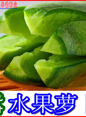 老品种水果潍坊蔬菜籽白萝卜