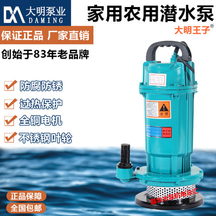 浙江大明王子潜水泵220v家用抽水小型抽水机高扬程农用灌溉抽水机