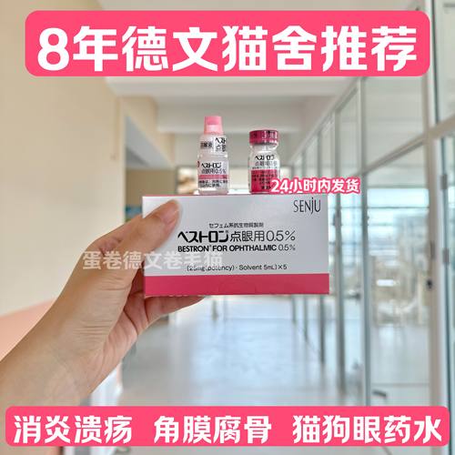 日本千寿滴眼液宠物猫狗用结膜角膜腐骨消炎红肿抗菌流眼泪眼疾红