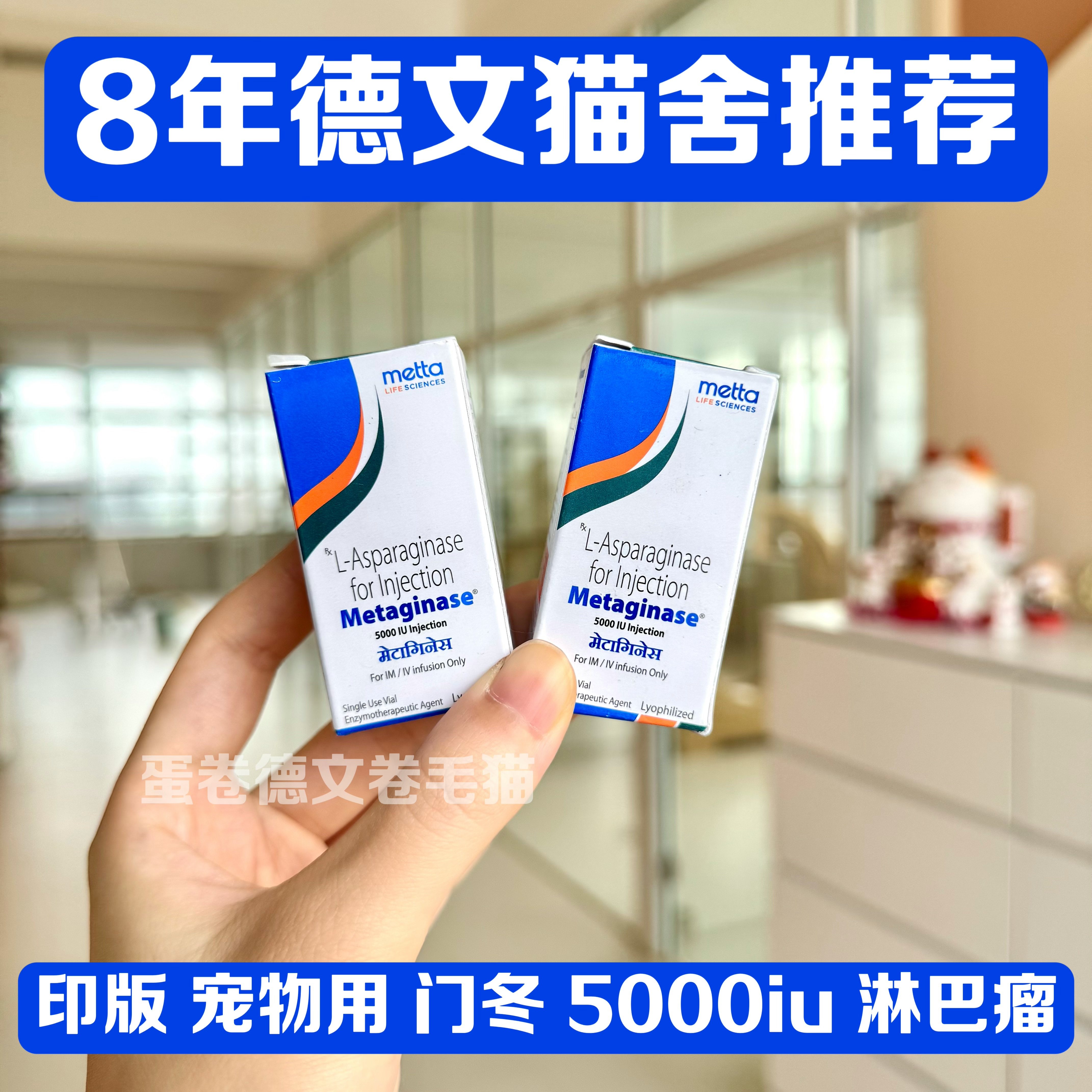 【顺丰包邮】印度门冬酰胺酶冻干粉针剂犬猫淋巴瘤化疗用药5000IU