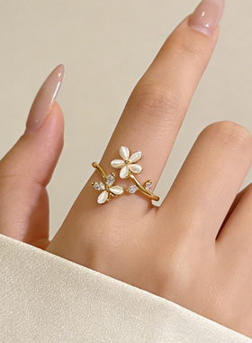 小众精致戒指女款巨好看指环