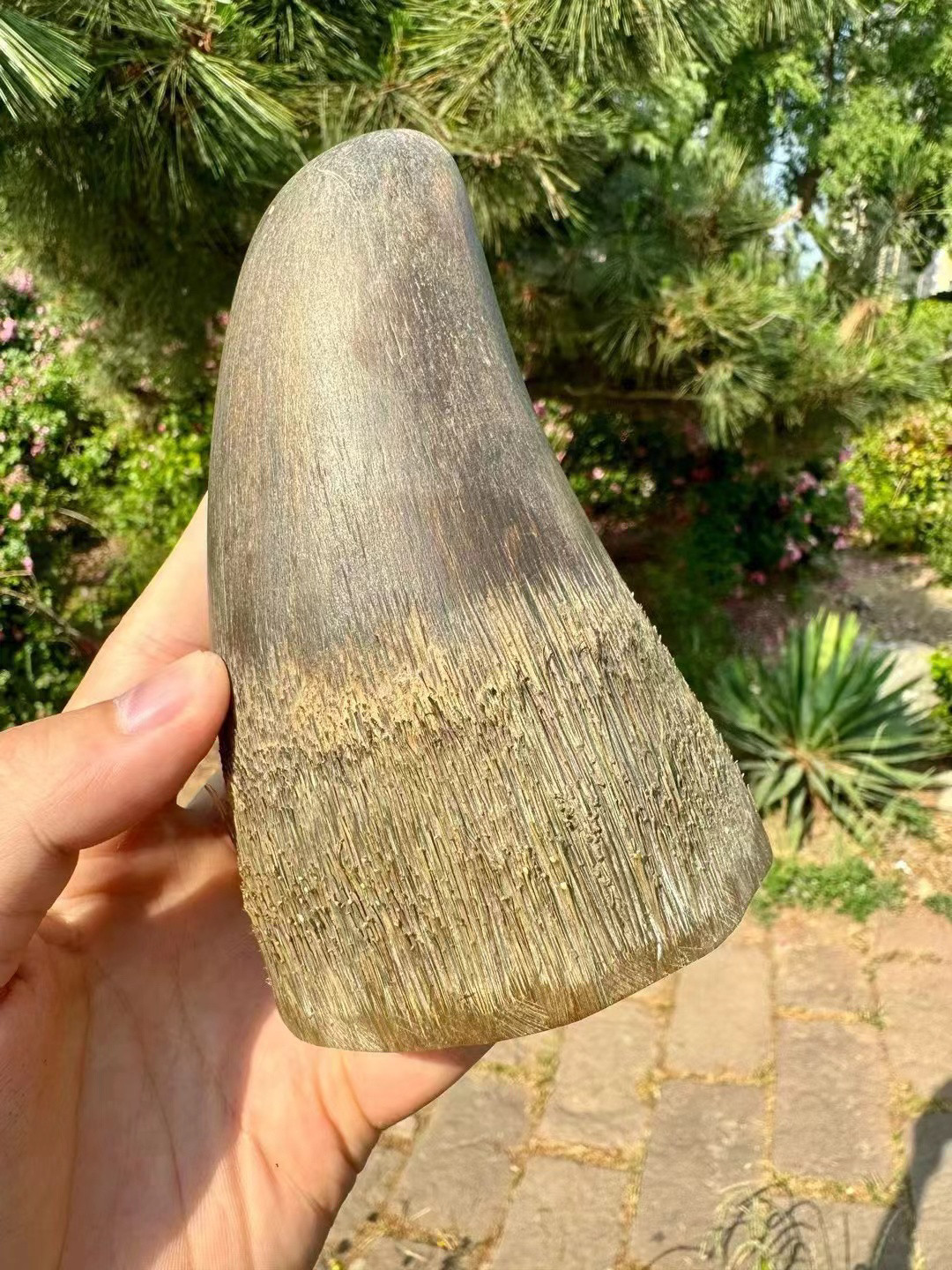 保真天然披毛犀角亚洲非洲牛角高端文玩古玩摆件髓腔鱼籽纹竹丝纹