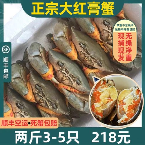 南沙野生青蟹鲜活全母红膏母蟹特大超大黄油蟹螃蟹2斤3-4只发顺丰