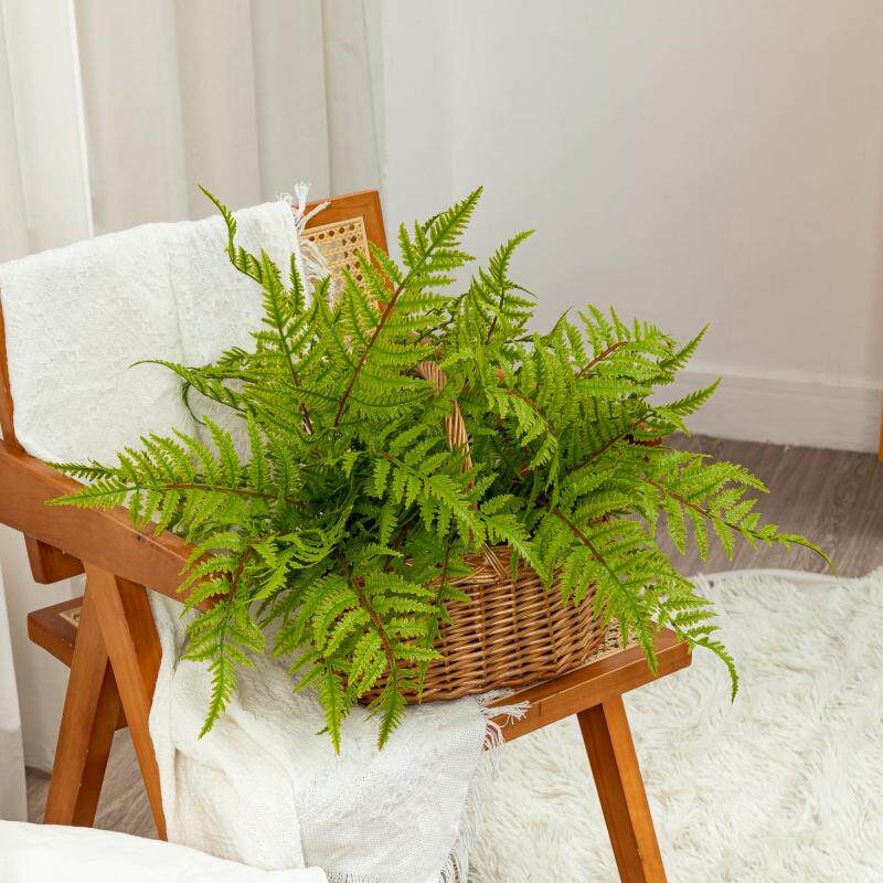 新款仿真热带蕨类波斯草婚庆酒店家居软装盆栽地面造景绿植大厥叶