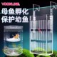沃韦朗亚克力水草种植孔雀鱼小型热带鱼隔离孵化器母鱼产房繁殖盒