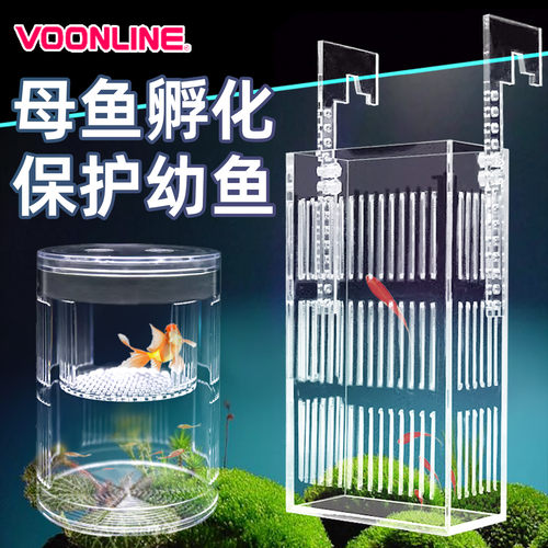 沃韦朗亚克力鱼苗隔离盒