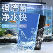 鱼缸生化棉过滤专用水族箱鱼池高密度净水过滤棉加厚海绵过滤材料