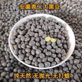 2025新货安徽绿心大黑豆非转基因农家自种绿芯黑豆青仁乌豆