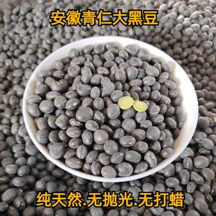 安徽绿心大黑豆非转基因打豆浆专用农家自种绿芯黑豆青仁乌豆特级