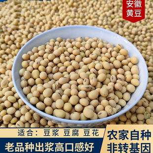 非转基因黄豆9斤装 2025新豆安徽黄豆 做豆腐豆花豆浆专用