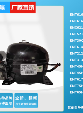恩布拉科全新EMT65 75HLP 3130 6144Z6165GK6160ZEMX6210U压缩机