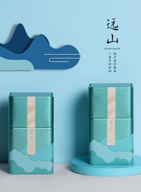 新款高档二两小号茶叶罐方罐红茶绿茶通用铁罐茶叶包装罐空罐定制