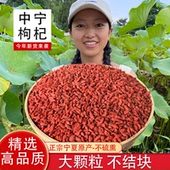 湘小暖精选枸杞宁夏中宁枸杞子正宗大颗粒红苟杞煮粥煲汤泡茶搭档