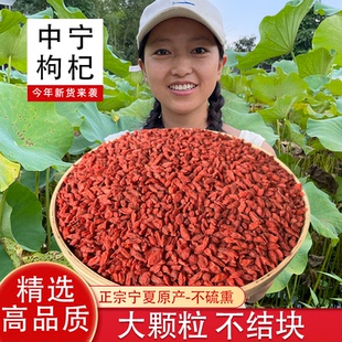湘小暖精选枸杞宁夏中宁枸杞子正宗大颗粒红苟杞煮粥煲汤泡茶搭档