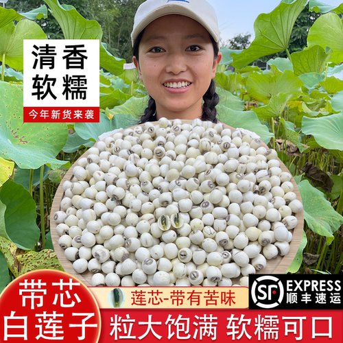 精选高品质带芯白莲子