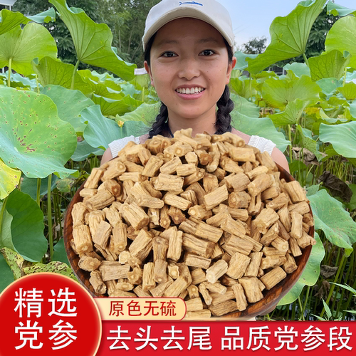 甘肃正宗无硫大颗粒党参煲汤泡水