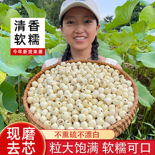 莲子干货 湘潭特产农家自产无芯湘莲煲粥 食用白莲子去芯磨皮白莲