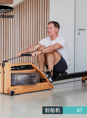 WaterRower沃特罗伦水阻划船器划船机划水机划桨机单轨A1橡木款