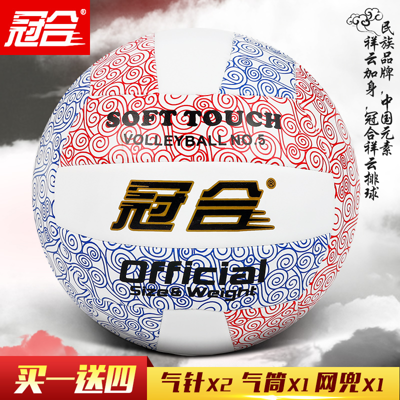 Ballon de volley - Ref 2013261 Image 1