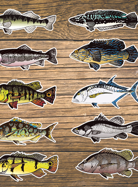 定制贴纸适用Huerco手绘鱼贴纸路亚海钓矶钓鱼竿贴纸支持定做5971