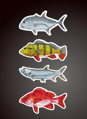 Tarpon海鲢Red Snapper红鲷鱼Peacock Bass孔雀鲈鲹鱼贴纸8153