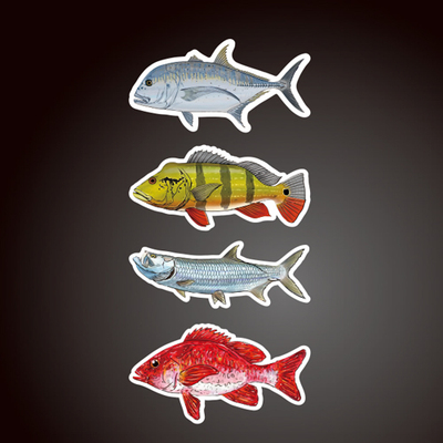 Tarpon海鲢Red Snapper红鲷鱼Peacock Bass孔雀鲈鲹鱼贴纸8153
