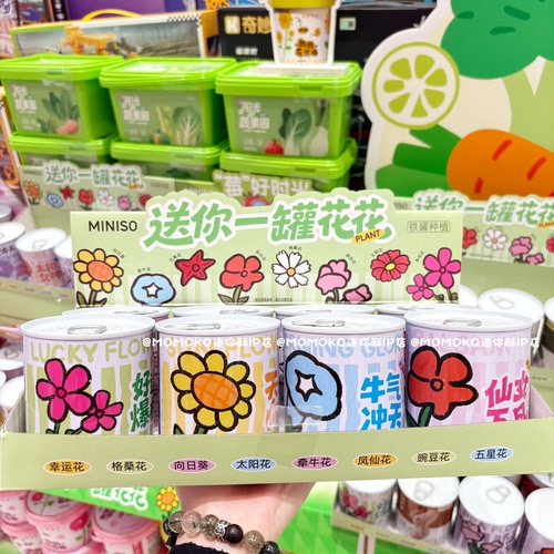 miniso名创优品易拉罐桌面绿植物花卉diy果蔬盆栽草莓向日葵种植