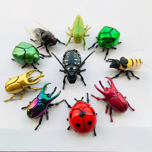 发条昆虫世界儿童爬行知了玩具模型仿真动物上链条甲壳虫七星瓢虫