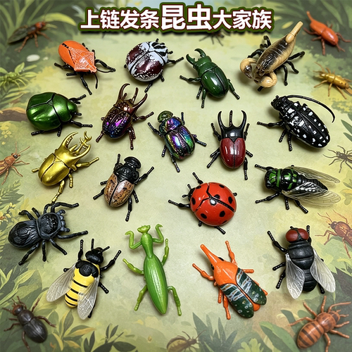 发条甲虫玩具昆虫甲壳虫仿真动物独角仙瓢虫知了模型男孩儿童女孩