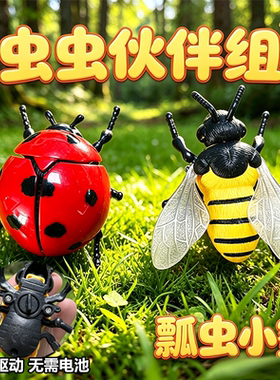 发条甲壳虫玩具儿童爬行七星瓢虫男孩宝宝仿真昆虫会爬的虫虫模型