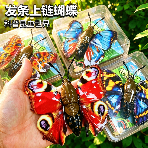儿童发条蝴蝶玩具仿真昆虫有翅膀会跑瓢虫男孩宝宝学生金龟子模型