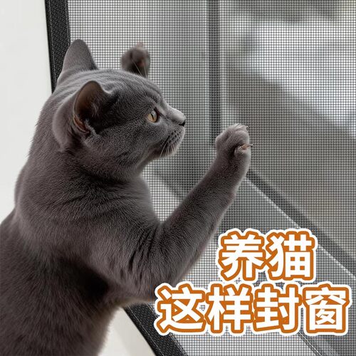 阳台窗户养猫封窗纱窗自装免打孔