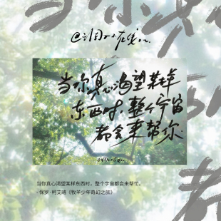 调子原创「当你真心渴望某样东西时......」 明信片单张