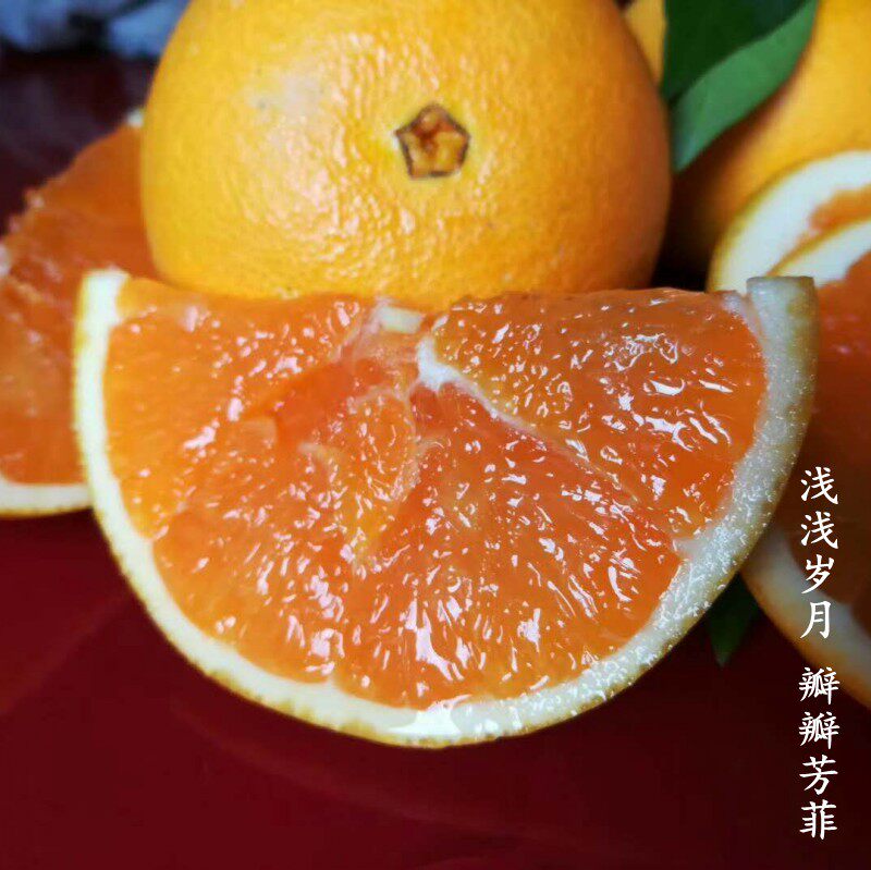 屈乡秋橙九月红橙 鲜甜多汁  秭归早红脐橙9斤净重孕妇手剥甜橙