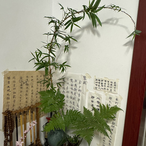 南天竹造型专用铝丝铝线蟠扎园艺铁丝花卉罗汉松拉枝固定型器工具