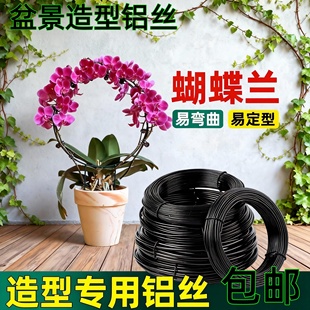 金枝玉叶绿植造型铝丝盆景专用吕丝压枝固定线植物铝线绑花铝丝