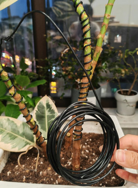 盆景拉枝定型器金枝玉叶造型专用铝丝软铁线diy手工艺品绑花铝线