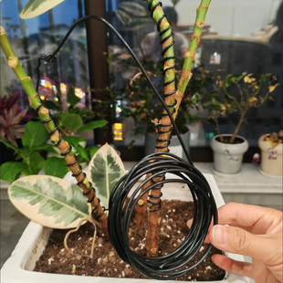 盆景拉枝定型器金枝玉叶造型专用铝丝软铁线diy手工艺品绑花铝线
