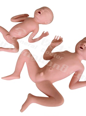 高级24周早产儿模型GD/FT331A