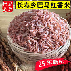 广西巴马红香米软糯农家自产天然食用5斤长粒红香杂粗粮食新糙米
