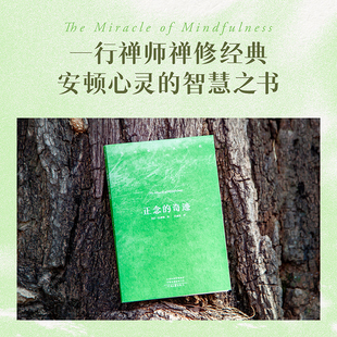 正念的奇迹 一行禅师禅修经典 樊登/费勇推荐 缓解焦虑安顿心灵的智慧之书 获得身心的安详和悦乐 专注于生活本身修身养性心灵治愈