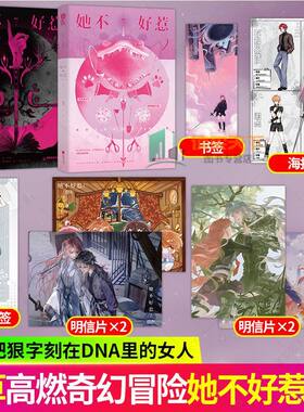 正版！她不好惹2实体书