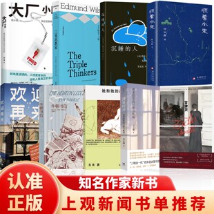 大厂小民张小满作品我的母亲做保洁作者纪实文学书正版顺着水走牛顿书信欢迎再来她和她的决心冒牌货薄暮时分养老院里的日常与脆弱