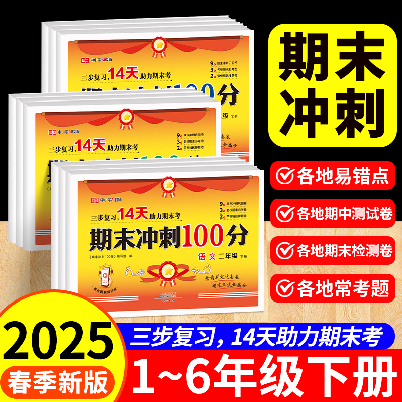 2025新版小学期末冲刺100分试卷