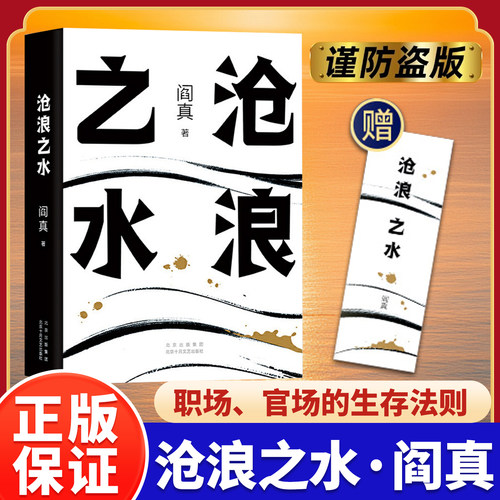 【正版现货】沧浪之水阎真